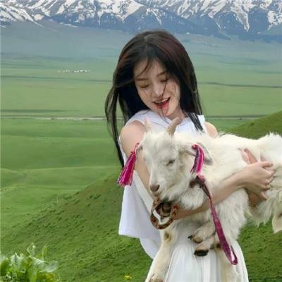 危险之旅：短片